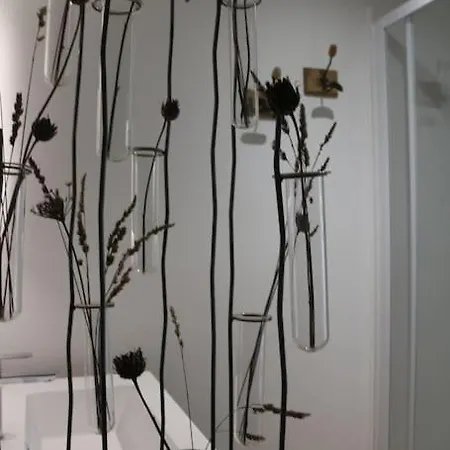 Villa L'echauguette, De Luxe Avec Piscine Carcassonne