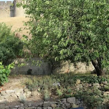 Vila L'echauguette, De Luxe Avec Piscine Au Pied De La Cite Carcassonne