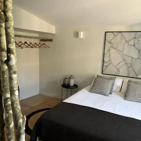 L'echauguette, De Luxe Avec Piscine * Carcassonne