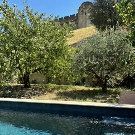 L'echauguette, De Luxe Avec Piscine Villa Carcassonne