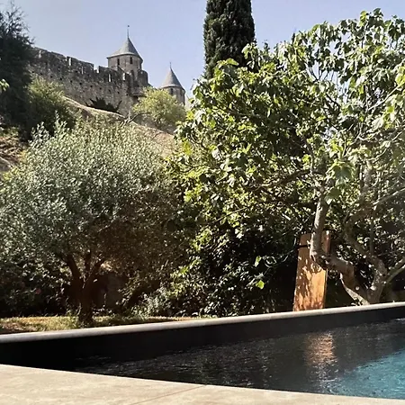 L'echauguette, De Luxe Avec Piscine Au Pied De La Cite Carcassonne